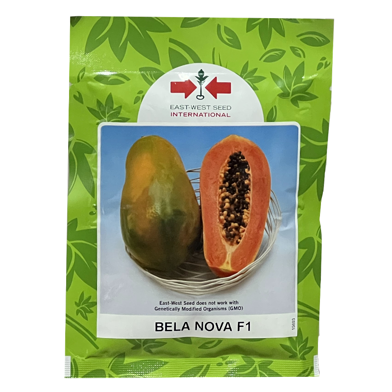 Bela nova F1